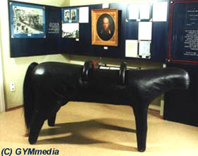 "Horse" in the Jahn museum of Freyburg / Germany