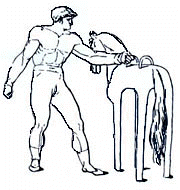 roemer_kl.jpg (19368 Byte)