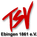 tsvebingen_logo.gif (3238 Byte)