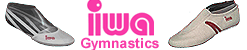 Iwa3.gif (8857 Byte)