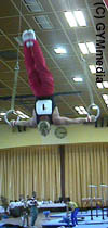 otto_alex_ri99.JPG (12210 Byte)