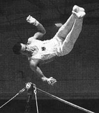gienger_salto.jpg (11544 Byte)