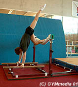 Handstand immitator for parallel or high bar elements