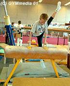 A mini pommel horse, good for the little boys.