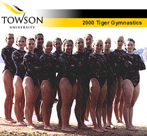 2000 TIGER GYMNASTICS.jpg (43187 Byte)